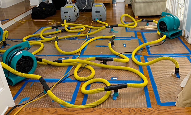 Professional Crawl Space Water Removal technician working in Delavan, IL